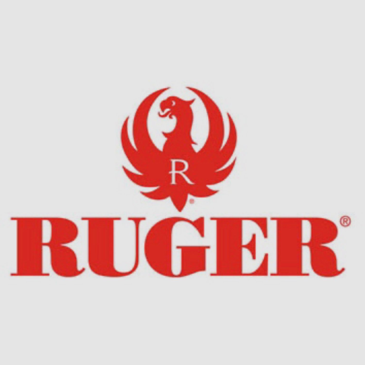 RUGER / SEMIAUTO GEWEER – BOLT ACTION / ALLE MODELLEN, afbeelding 1 van 16