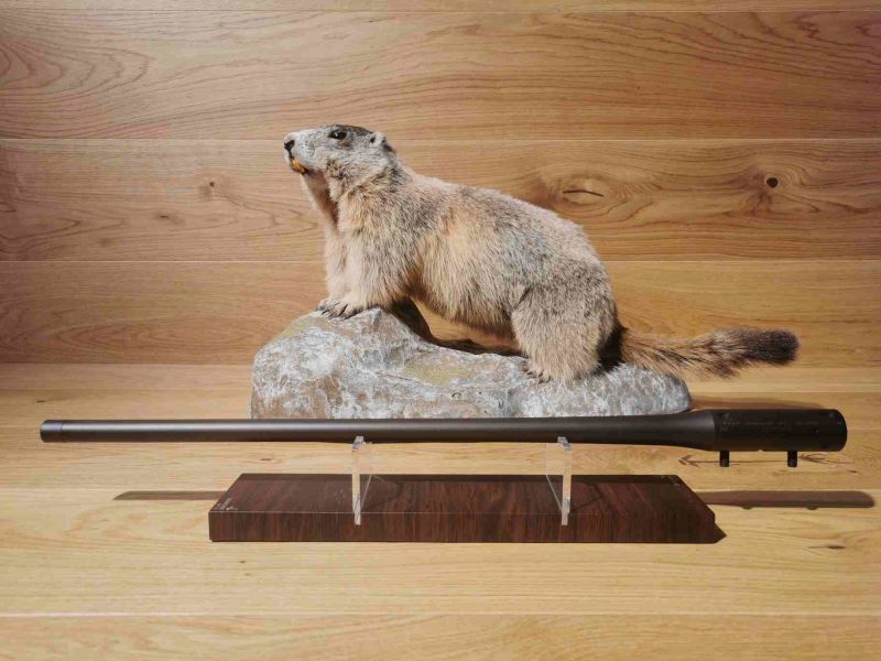 Blaser R8 Wechsellauf .17 HMR - 58cm - M15x1 incl. Verschlusskopf - Waffen Schlemmer Ingolstadt