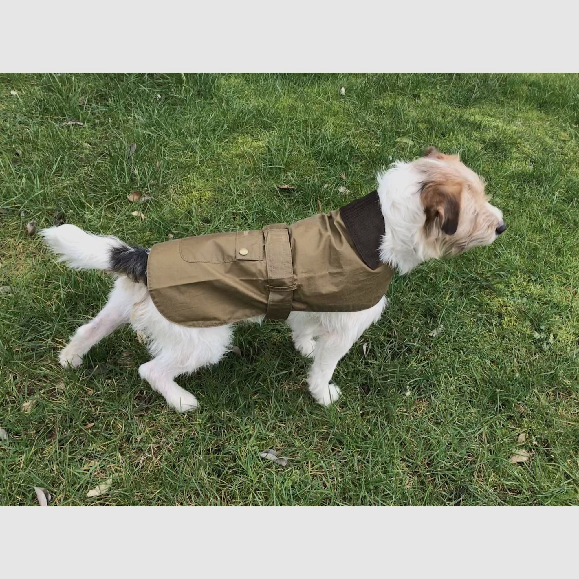 Barbour Lightweight Wax Dog Coat Olive XL