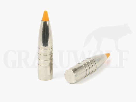 .308 / 7,62 mm 165 gr / 10,7 g RWS HIT Geschosse 50 Stück