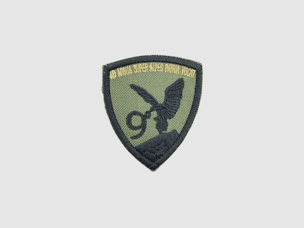 LEGER – PATCH 9E ALPINE REGIMENT “AD ARDUA SUPERALPE SPATRIA VOCAT”