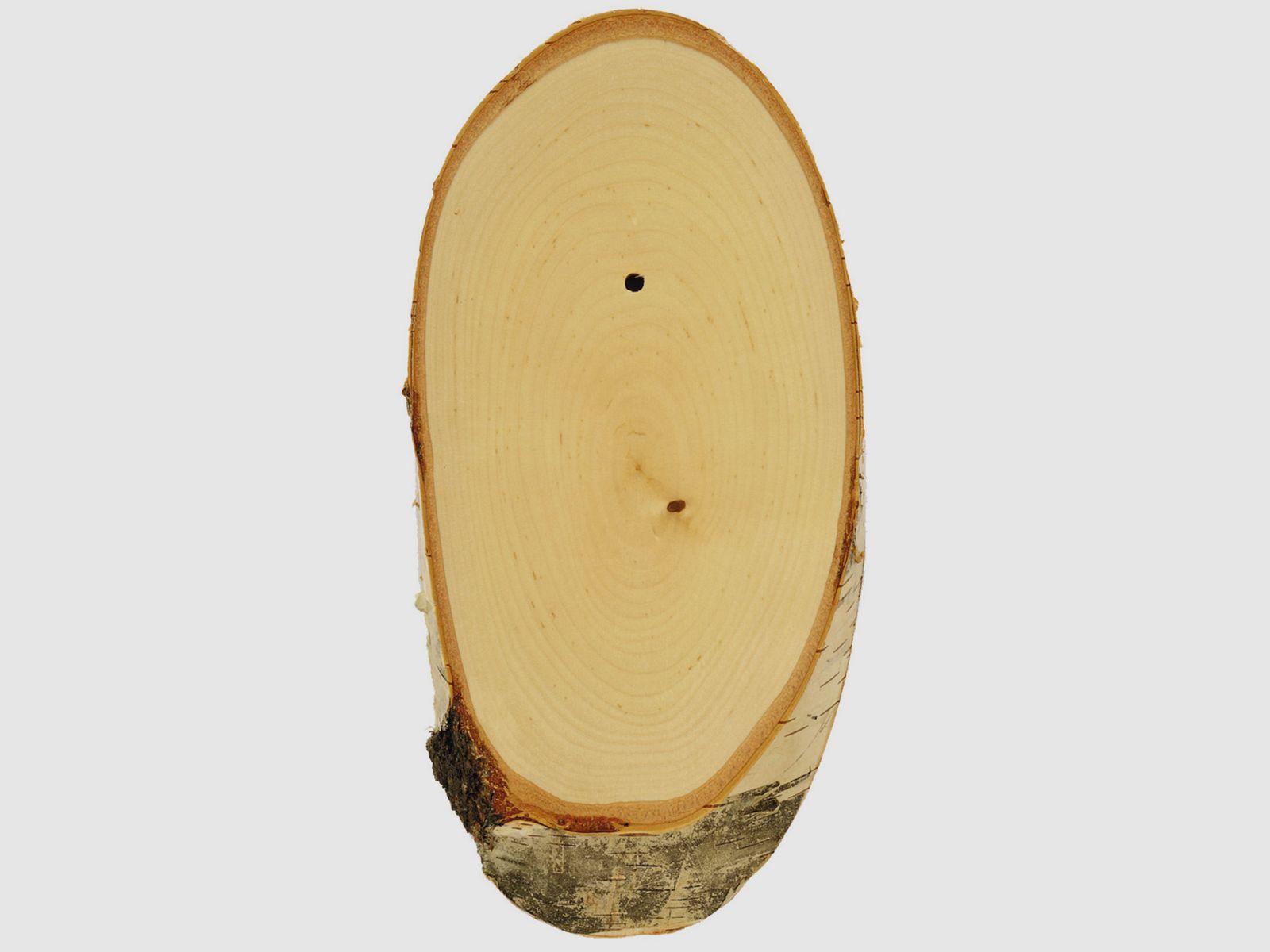 Antler board Roe deer, birch