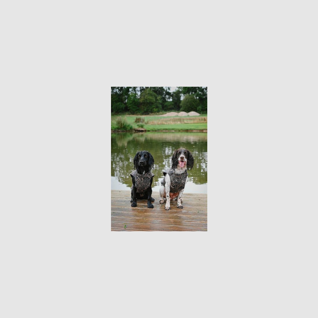 Sporting saints Neopren-Hundeweste Camo, Bild 3 von 4