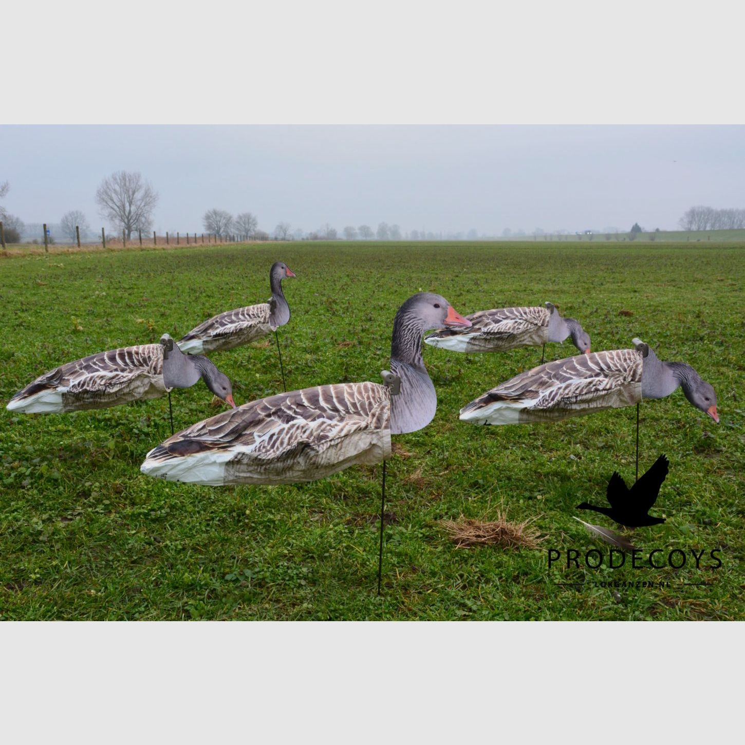 ProDecoys Graugans 2D-Windsock-Lockvögel, 12 Stk., Bild 4 von 4