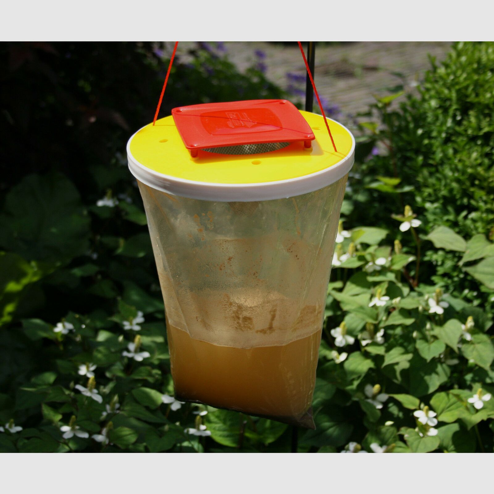 Fly trap