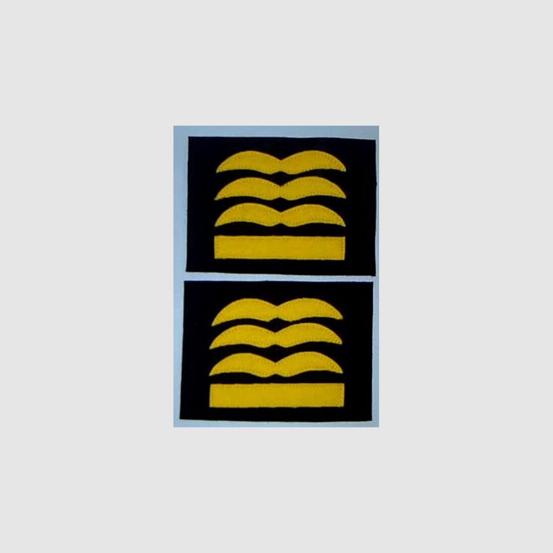 Dienstgardabz. General der Fallschirmjäger/ Flieger