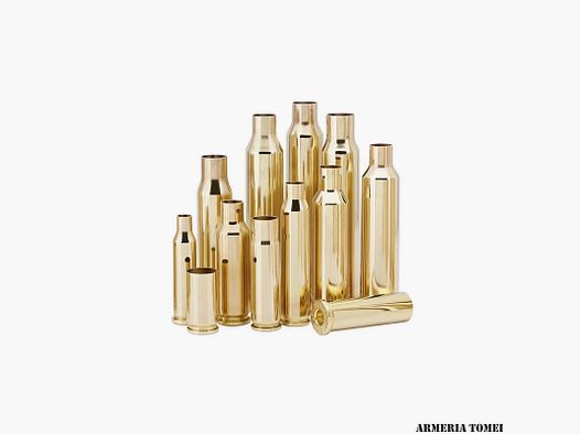 CASES – RWS – Cal. .308 Win. Nickel (100 pcs)