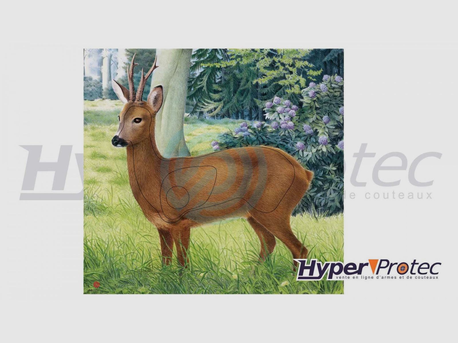 Poster Stemma di Tiro con l'Arco Cervo colore 78x79 cm, immagine 2 di 2