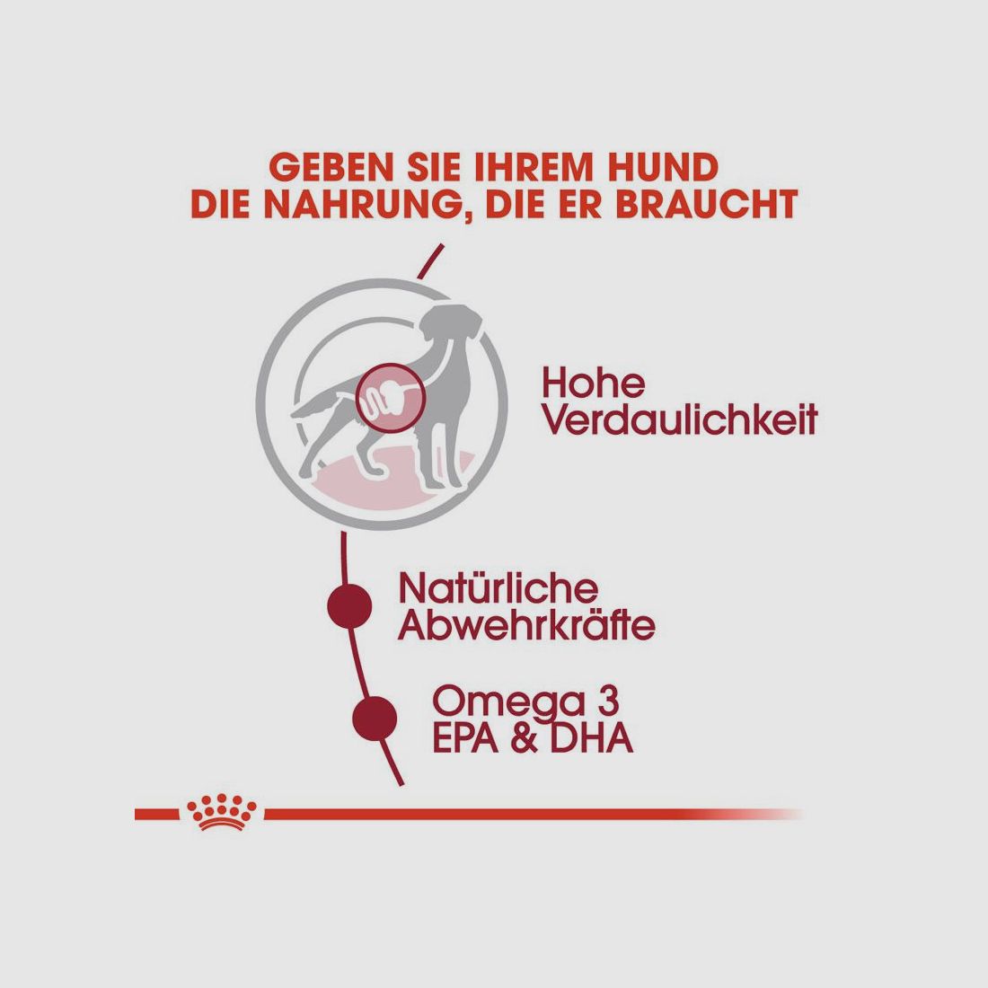 ROYAL CANIN Mittelgroße Hunde Nassfutter Medium Adult 10x140 g