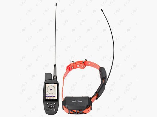 Pacchetto collare di localizzazione e addestramento NUM’AXES CANICOM GPS MINI