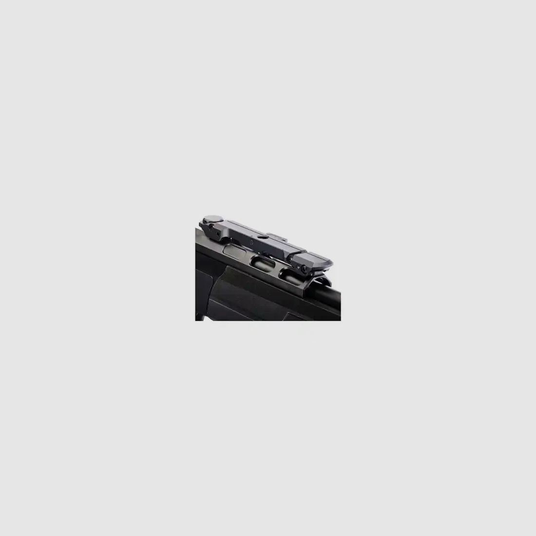 Dentler DR21 with basic rail Vario