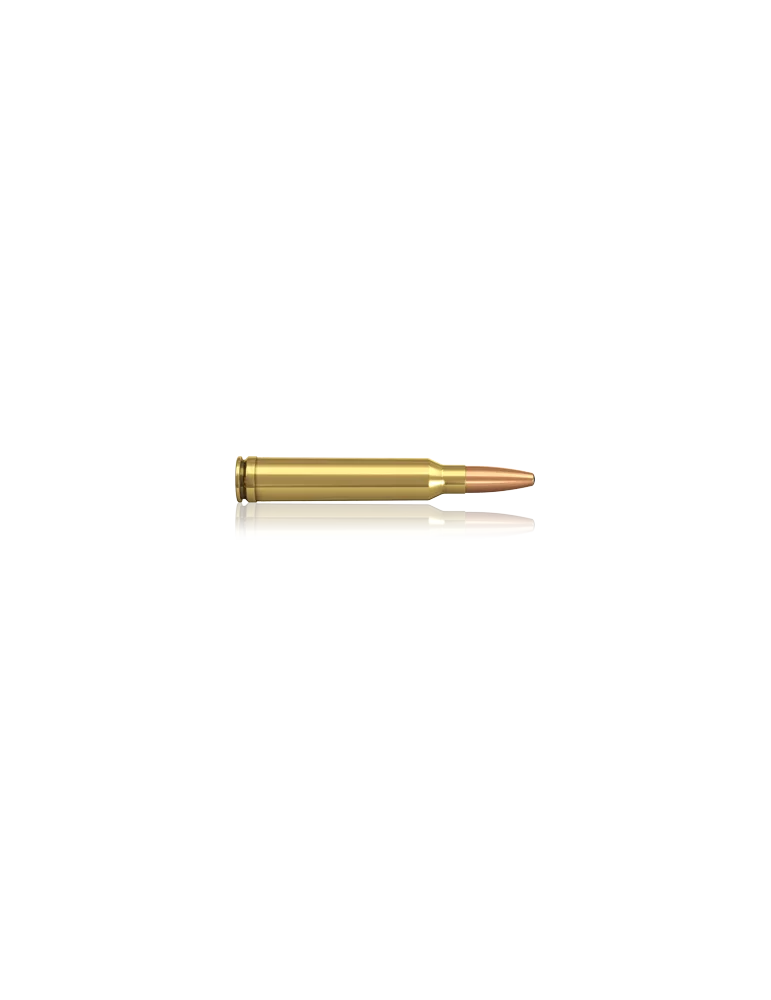 Norma Oryx 300 Win. Mag 200 gr