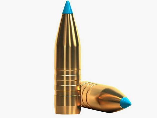 SELLIER & BELLOT Kal. 9.. Büchsen 9,3x74R TXRG blue 20 Stk 16,2g/250gr bleifrei