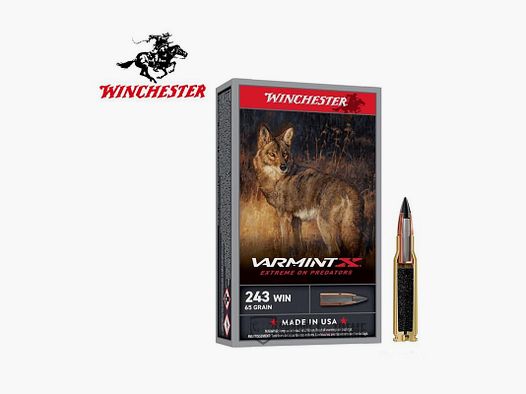 20 Munitions WINCHESTER Cal 243 Win 65gr Varmint X