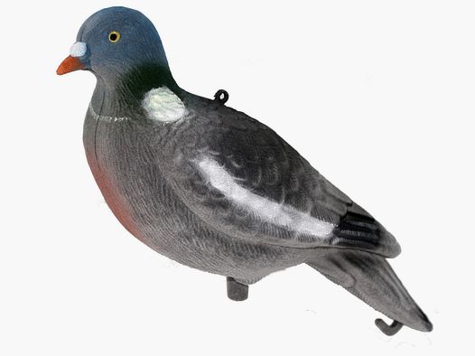 Beflockter Lockvogel Taube