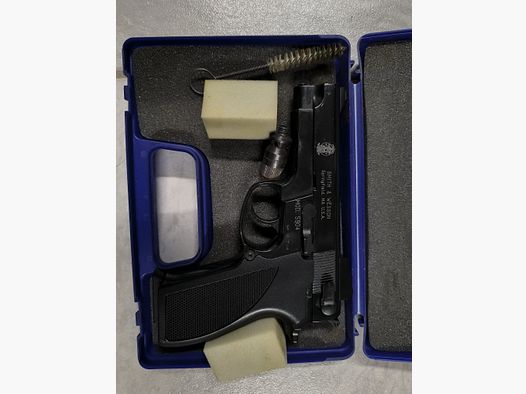 Smith Wesson 5904
