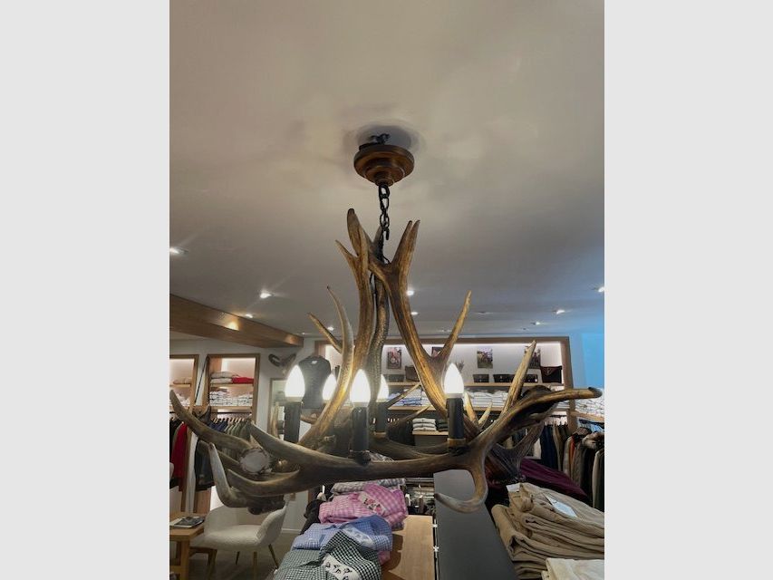 Lampe en bois de cerf, image 4 sur 4