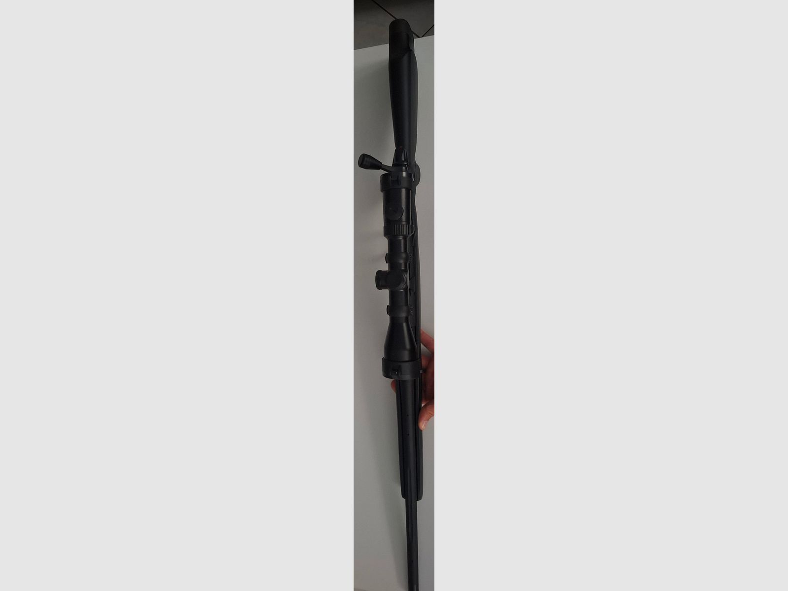 Bergara 