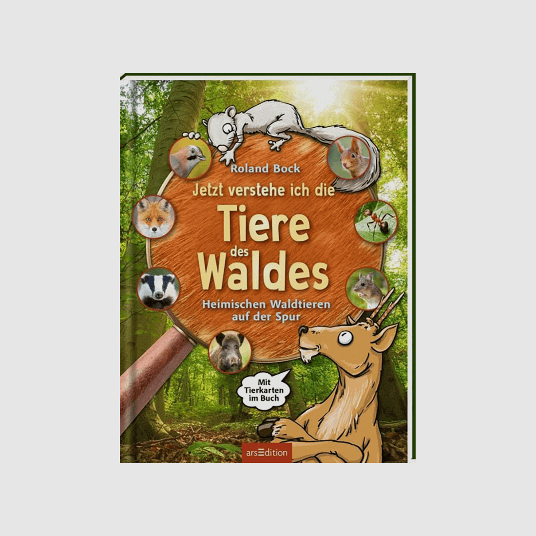 Kinderbuch "Jetzt verstehe ich die Tiere des Waldes"
