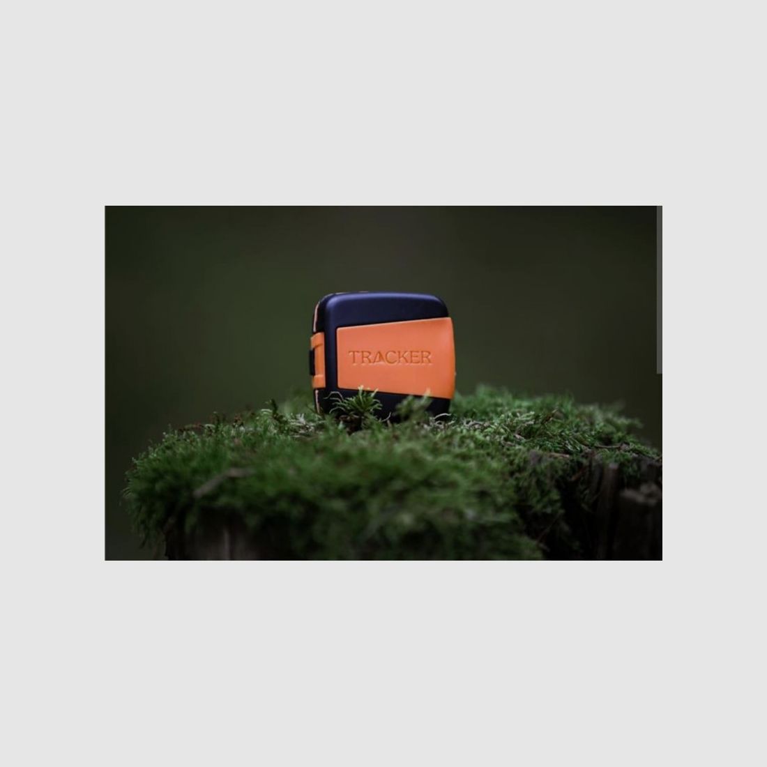 COLLIER TRACKER BARK, image 3 sur 3