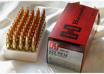 Hornady for hunting and shooting range
