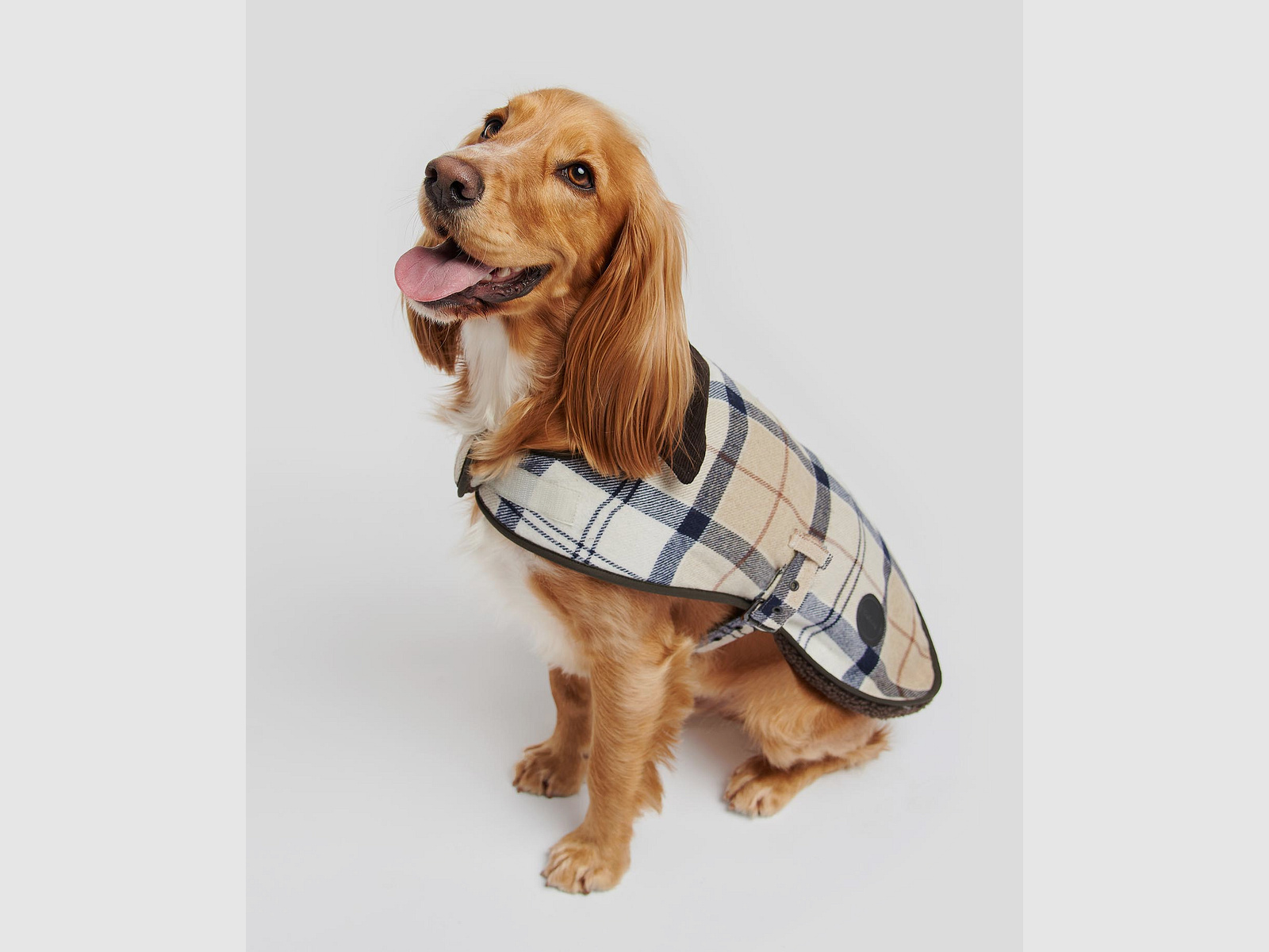 Barbour Manteau pour Chien Wool Touch