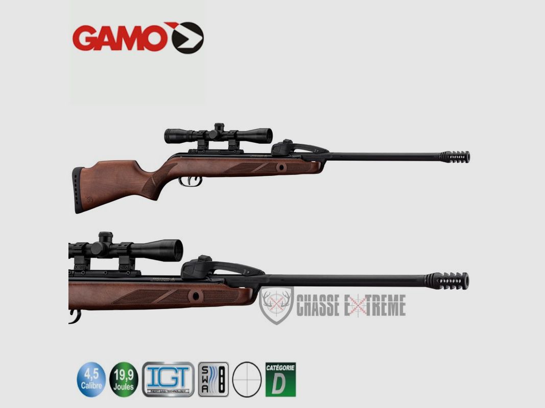 Carabine GAMO Fast Shot 10x Igt - 19,9 Joules + Lunette 4 X 32 Wr, image 2 sur 4