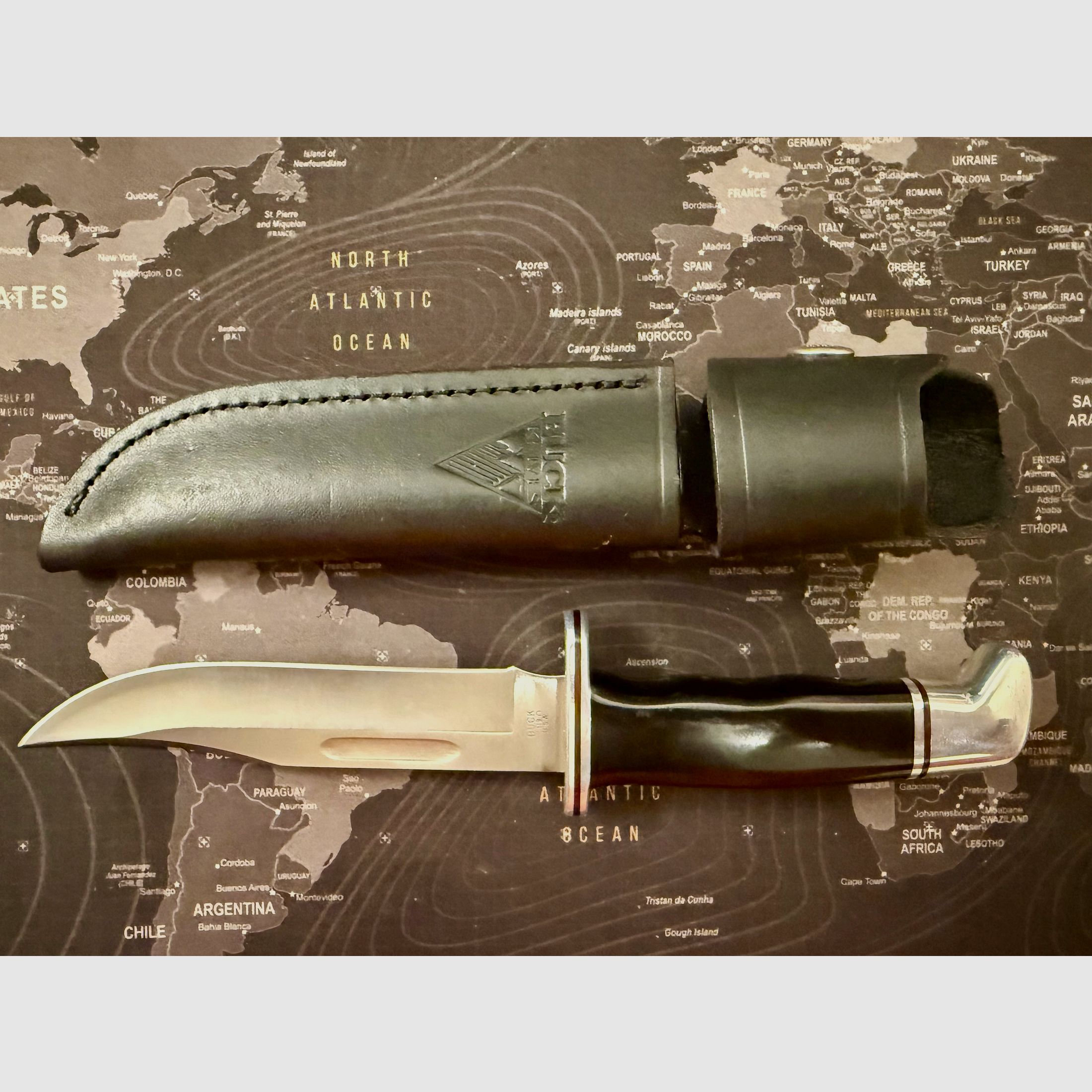 Buck 119 Bowie Messer Outdoor