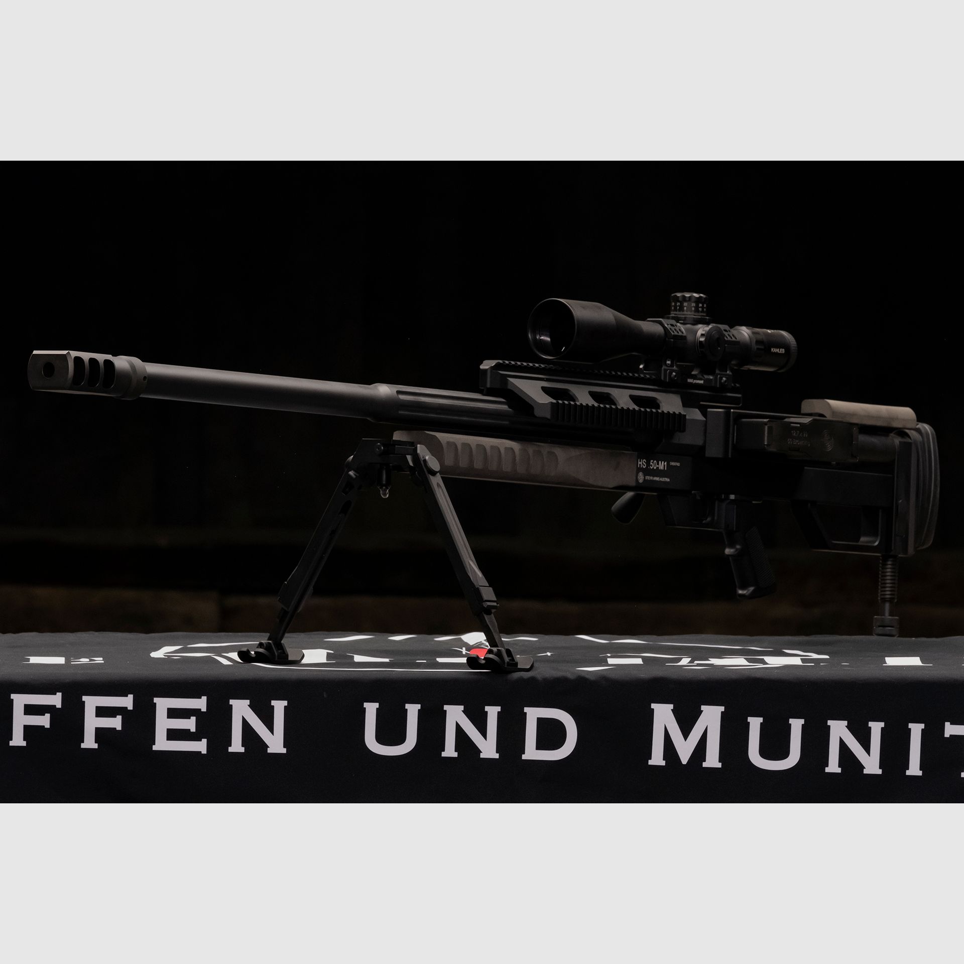 Steyr HS .50 M1, Bild 4 von 10