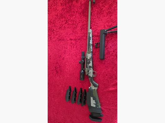 Impulso Selvaggio Grande Gioco