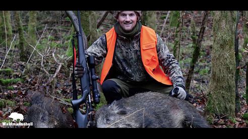 Driven hunt with Zeiss, Hornady and Sauer