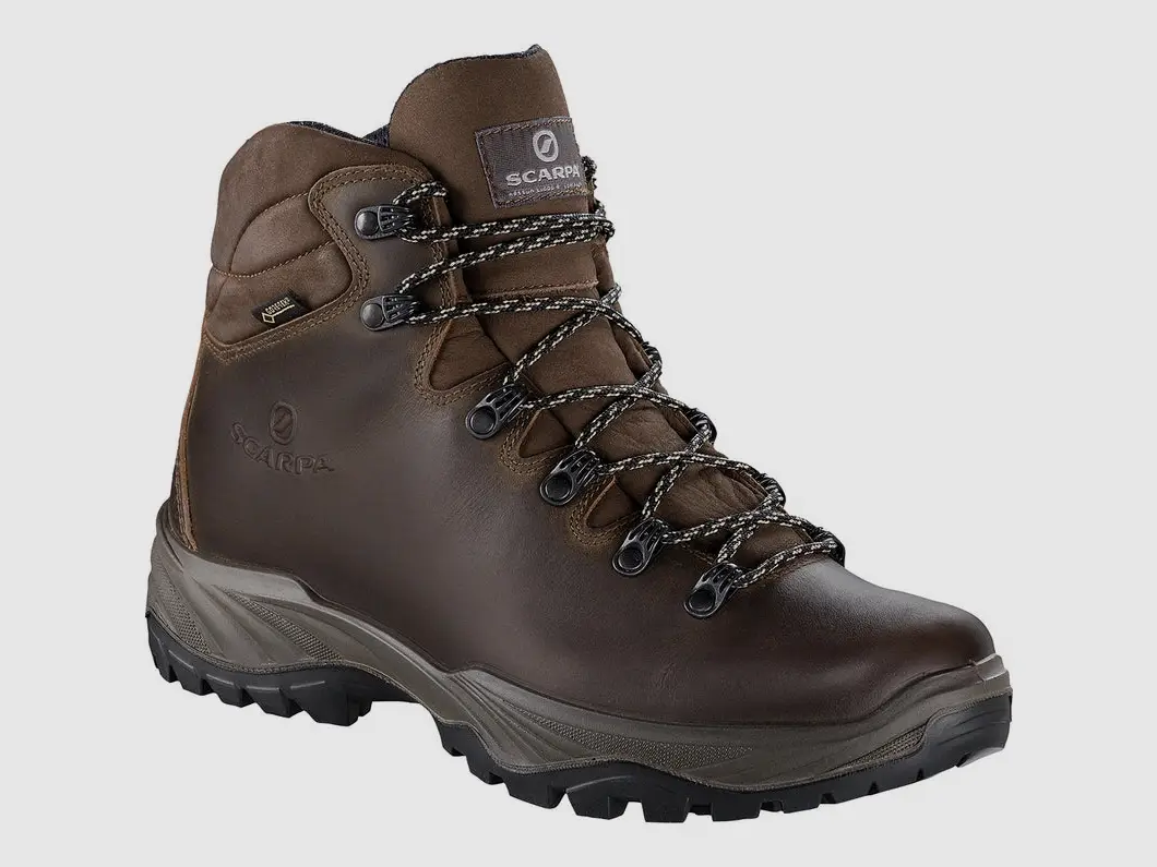 Scarpa Terra GTX Men, brown, afbeelding 1 van 8