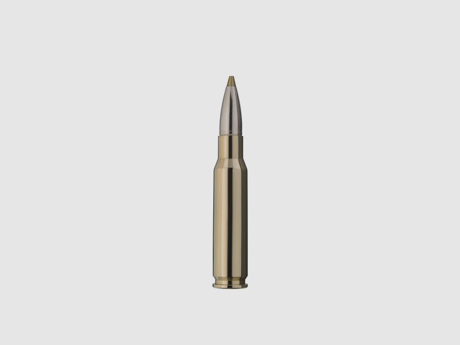 RWS .308 Win Evolution Green Hunting 9.0g 139grs, afbeelding 2 van 3