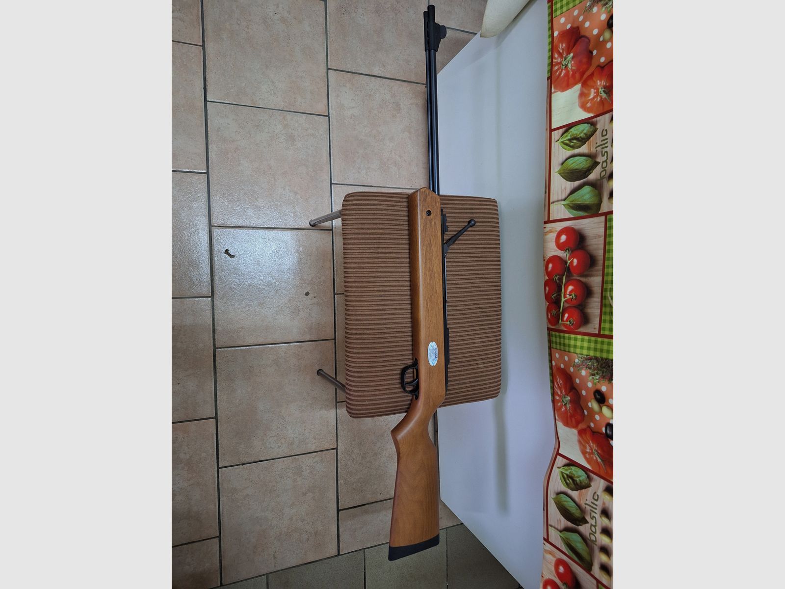 Fusil à air comprimé Diana Oktoberfest