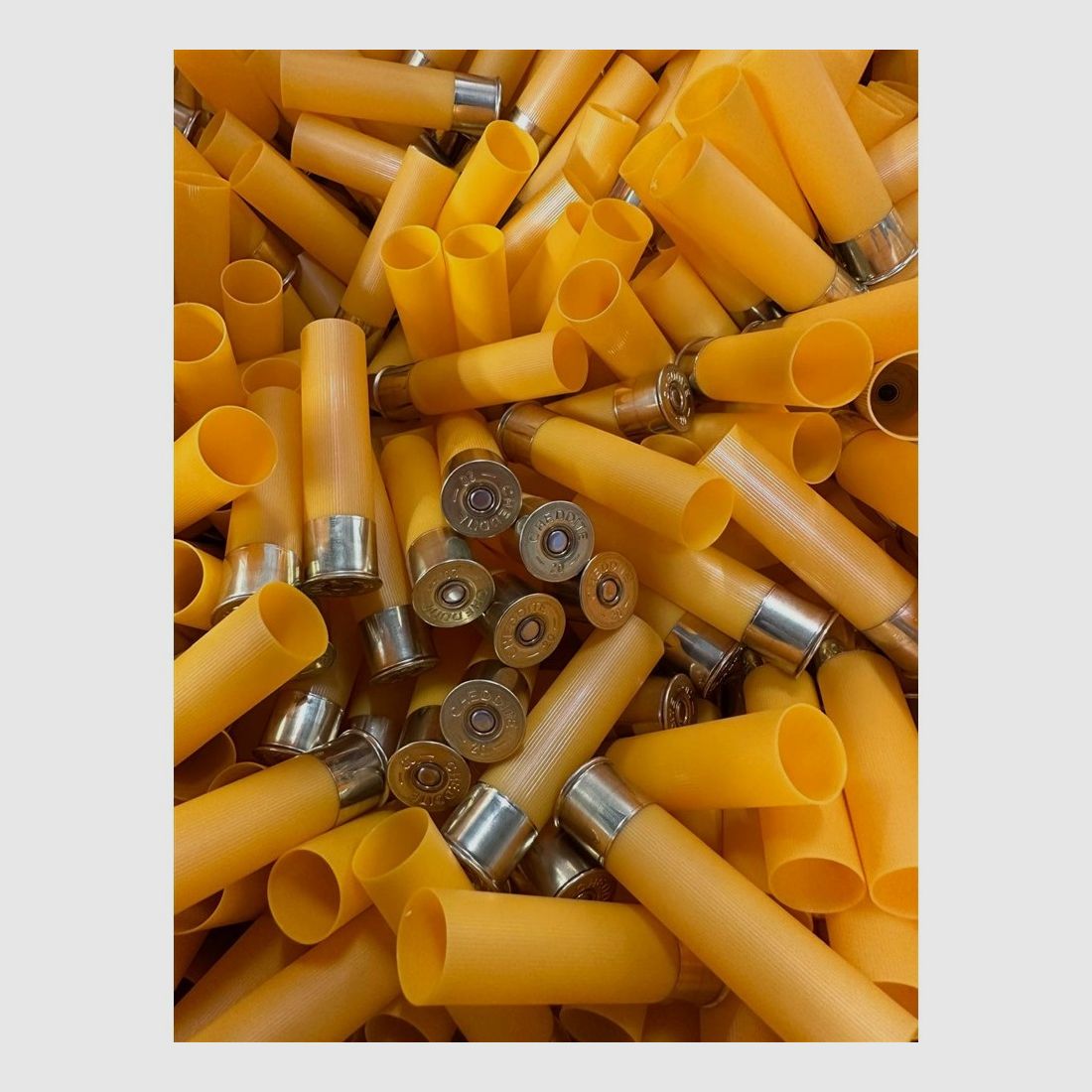 Cheddite cal.20 T.3 H.70 cx 1000, image 1 sur 3