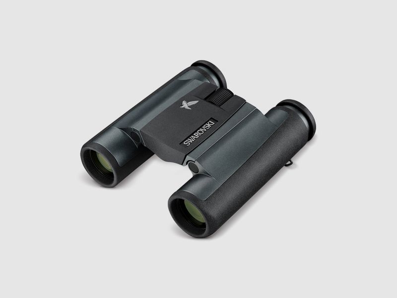 Swarovski CL Pocket Mountain 8x25 B binoculars