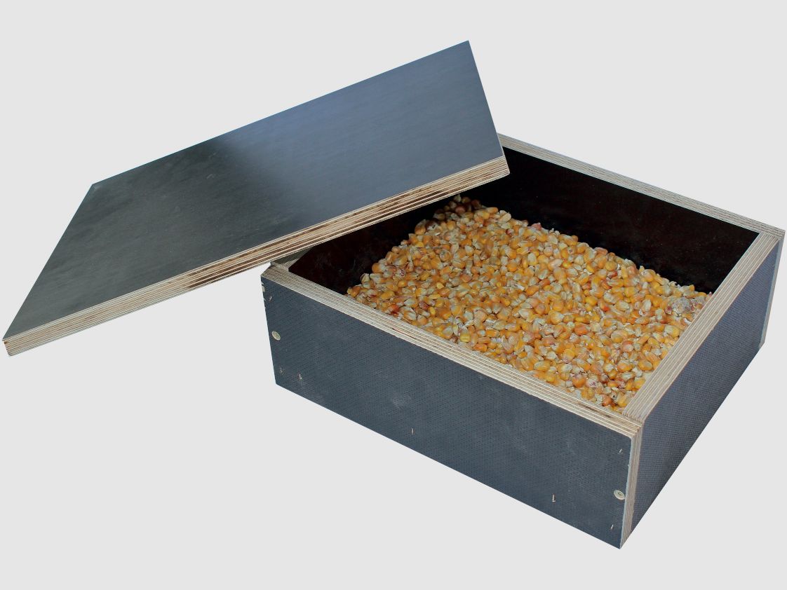 Kirrkiste Mod. Grimmig