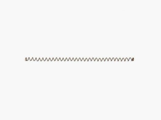 Resorte de cierre externo Desert Eagle XIX