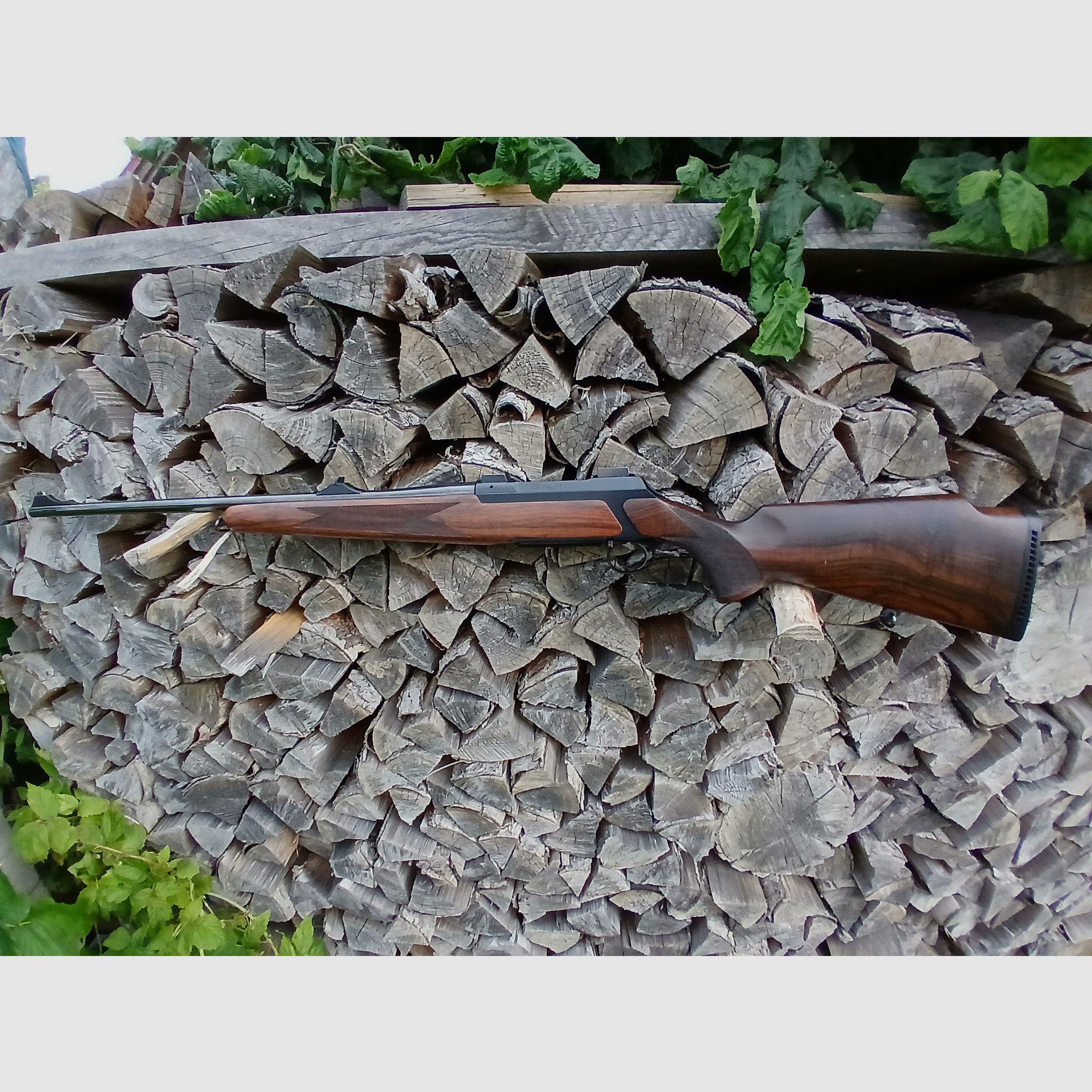 Sauer 200