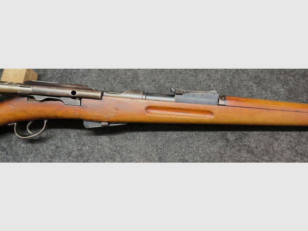 Schmidt Rubin G11