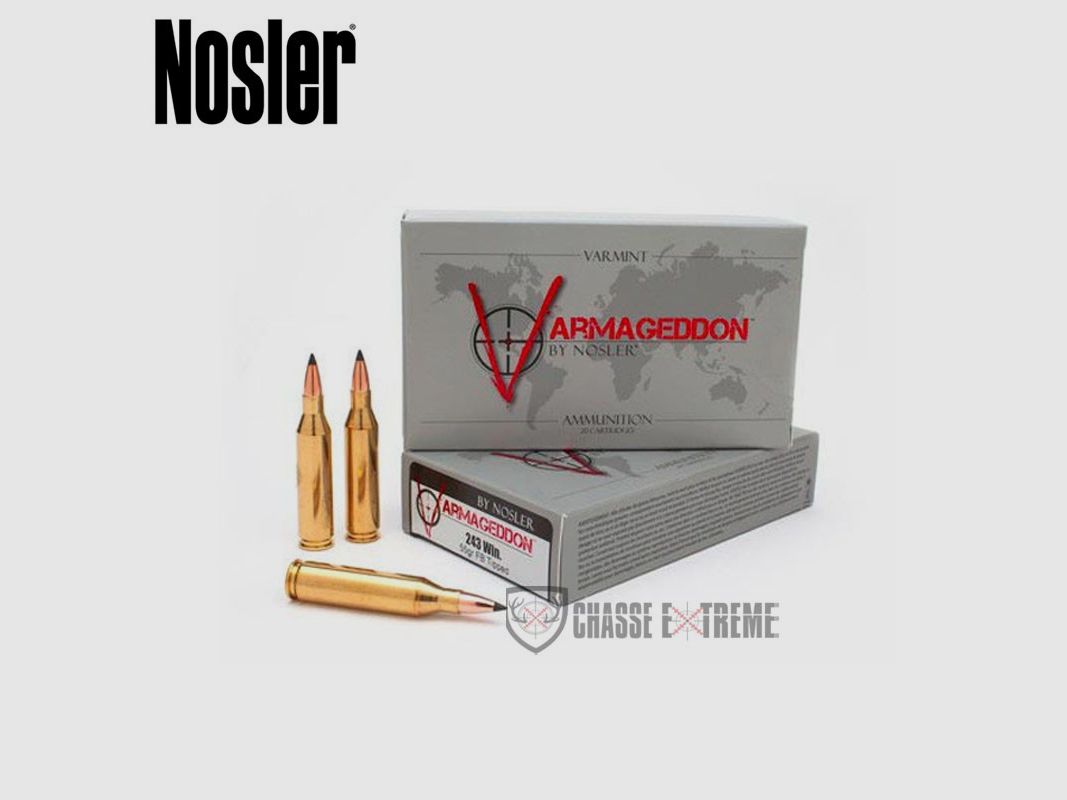 20 Cartouches NOSLER VGA Cal 243 Win 55Gr VG FBT