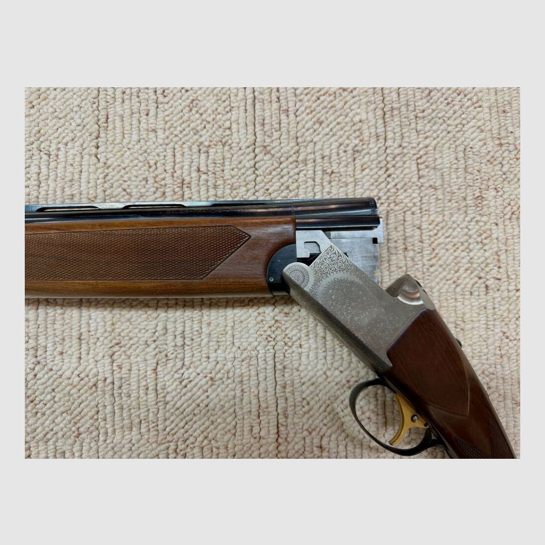 Sauer Franchi