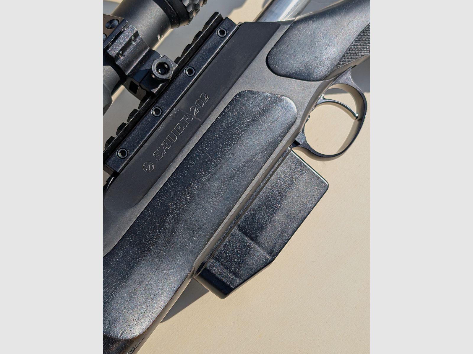 Sauer 202 
