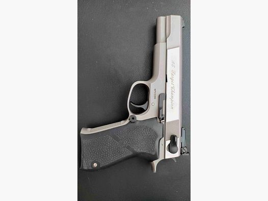 Smith & Wesson .45 Champion Target