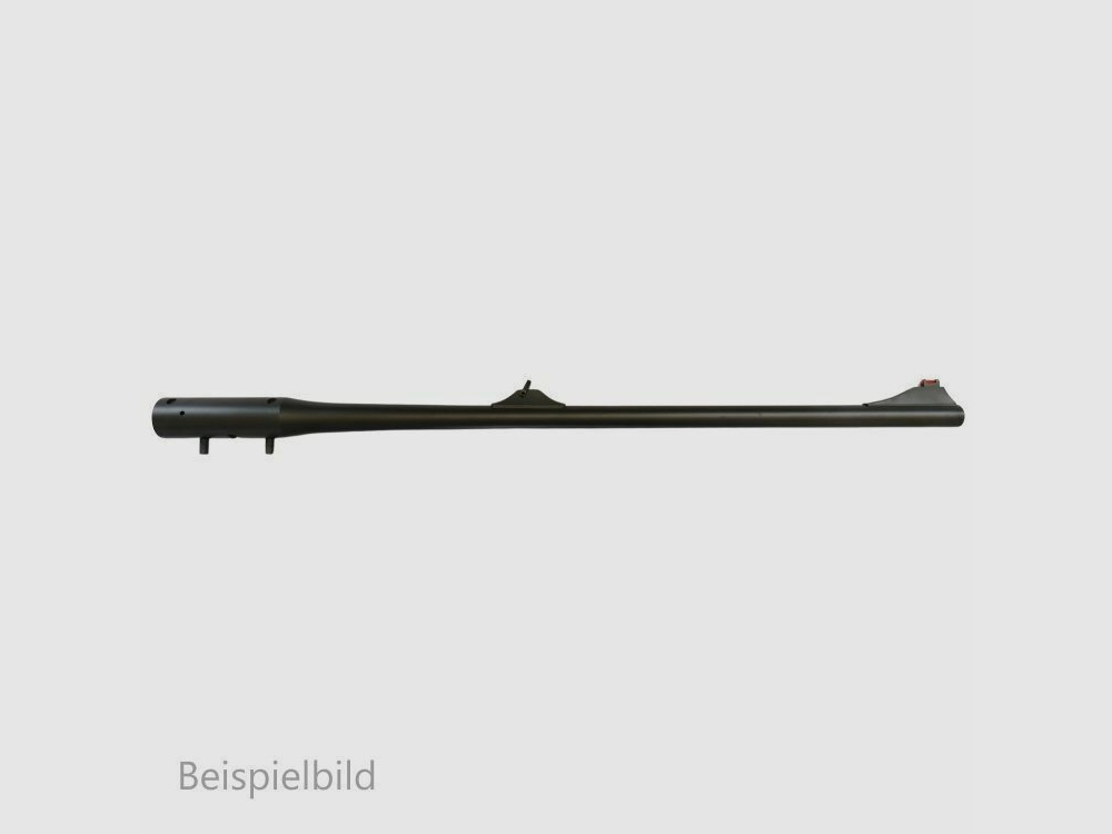 Blaser WL R8