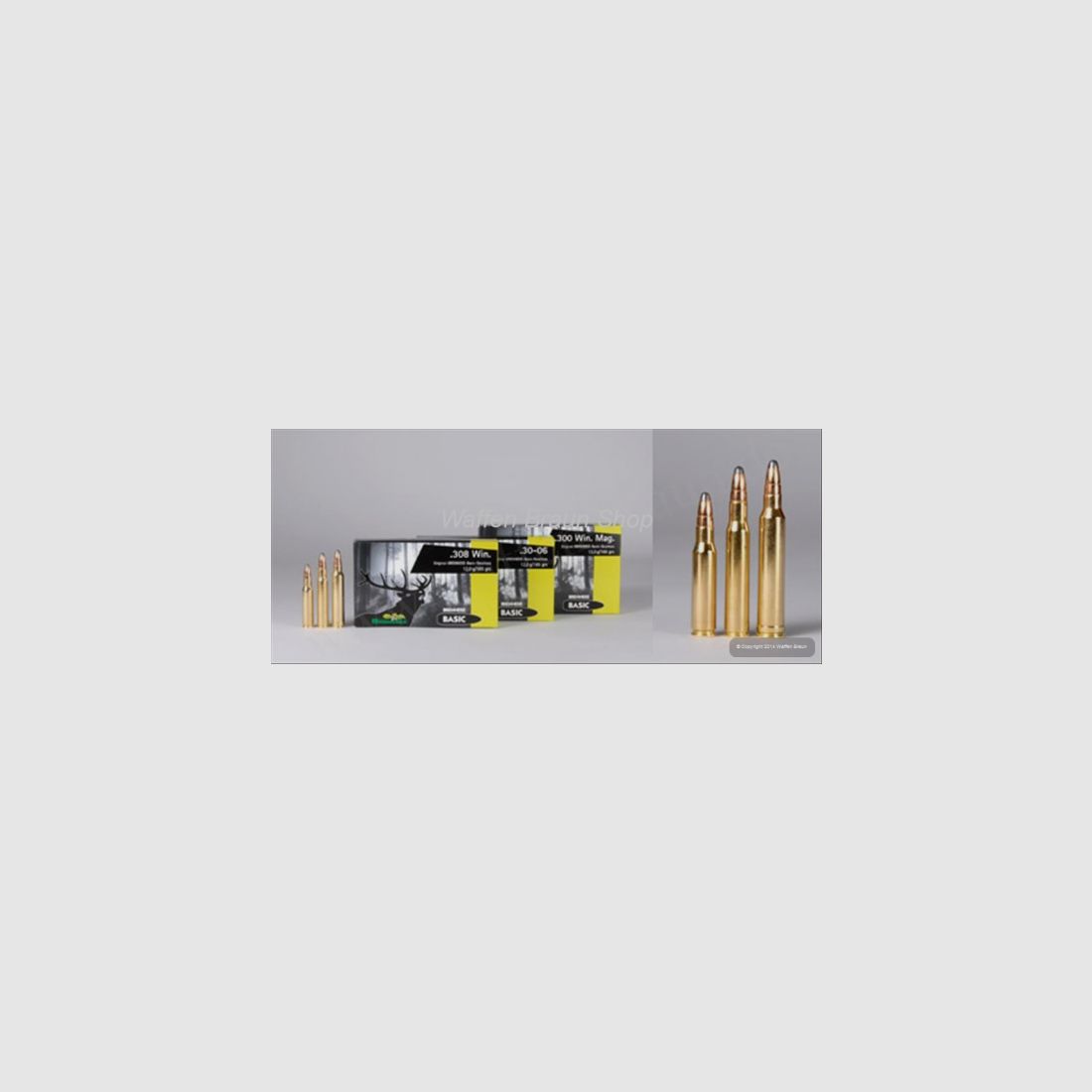 BRENNEKE .30-06 BASIC 12G A20