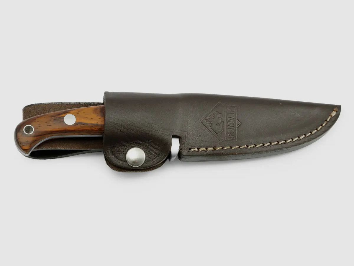 PUMA IP canis cocobolo