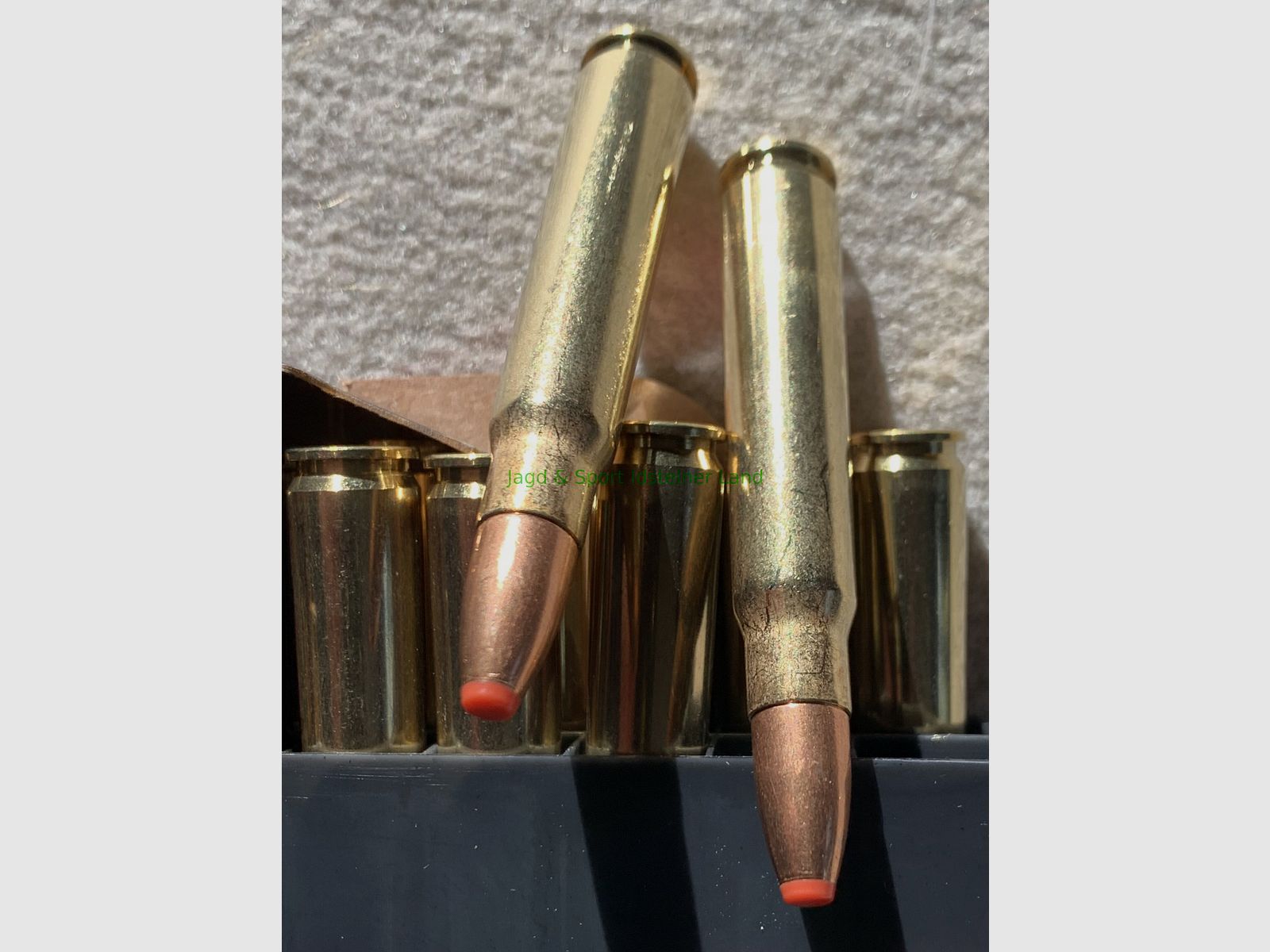 Hornady ECX -bleifrei- 180grs
