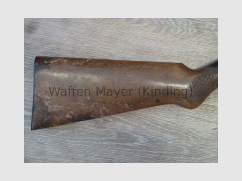 Heinzelmann Mod. Home