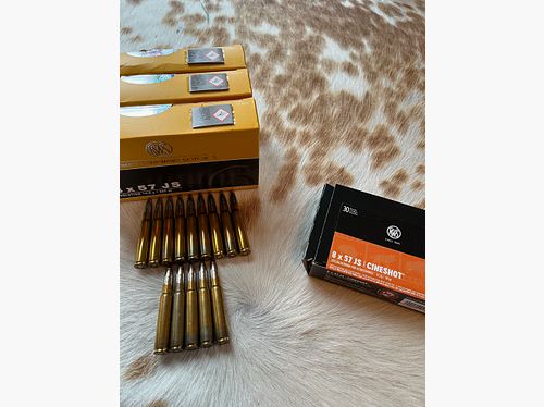 RWS 8x57 JS Evolution 13g / 200gr 75 shots